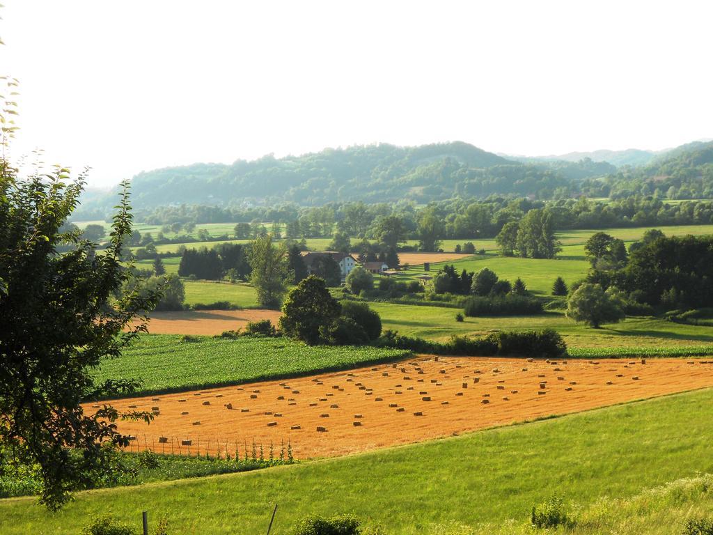 Farm Stay Kramer Bistrica ob Sotli Esterno foto