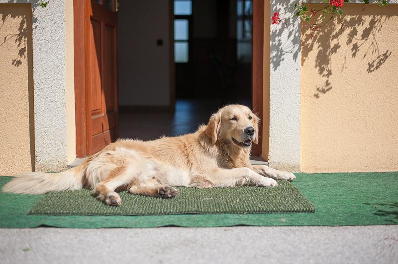 Farm Stay Kramer Bistrica ob Sotli Esterno foto